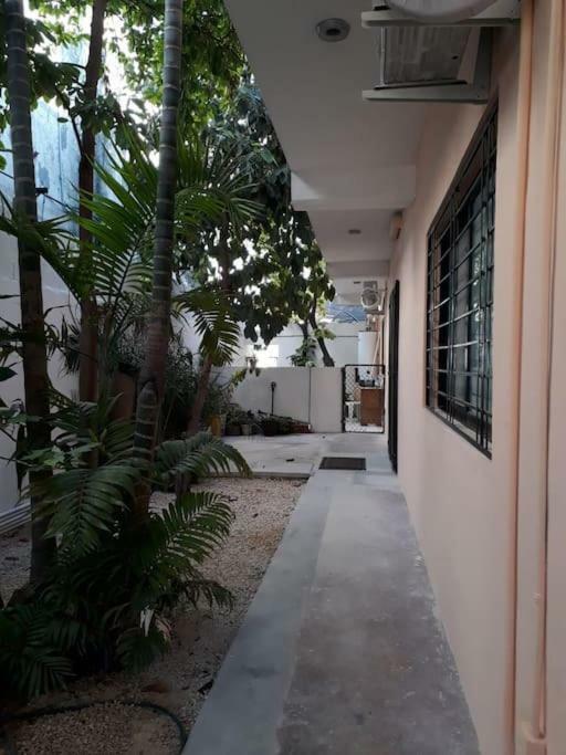 Estudio En Cancun Centro Dış mekan fotoğraf